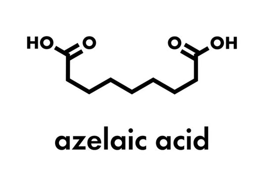 The Power of Azelaic Acid in Skincare