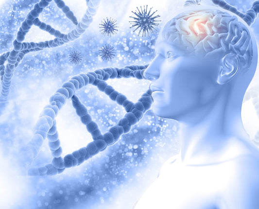 Unveiling the Health Benefits of Stem Cell Biology as Applied to the Brain