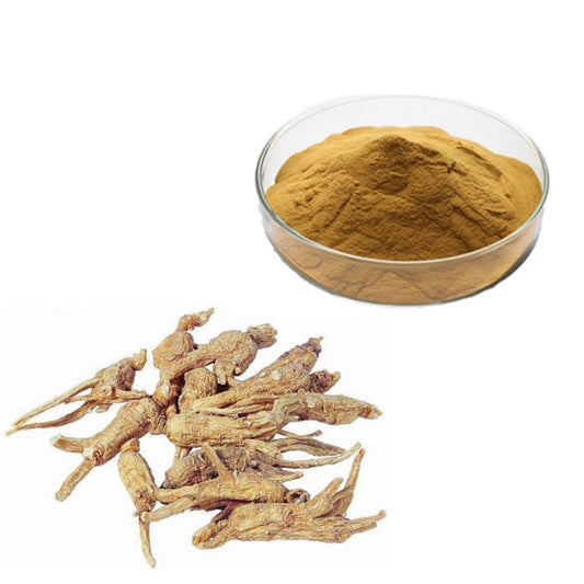 (Dong Quai) Angelica Root Extract