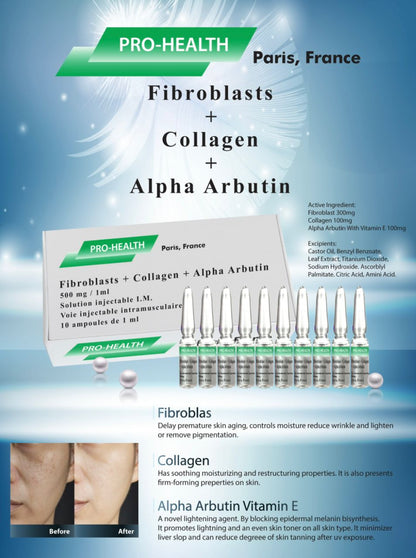 Fibroblasts + Collagen + Alpha Arbutin