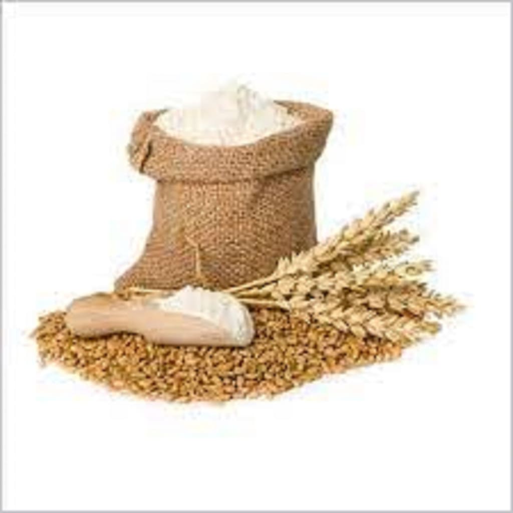 Hydrolized Wheat Germ Protein